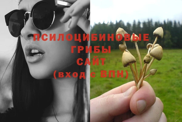 бошки Дмитровск