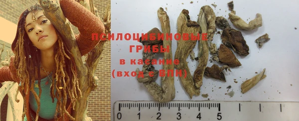 ешки Дмитриев