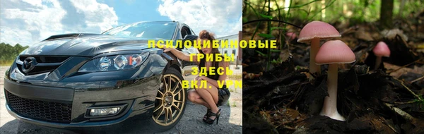 a pvp Елабуга