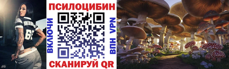 Купить закладки  Сатка  Псилоцибиновые грибы Magic Shrooms 