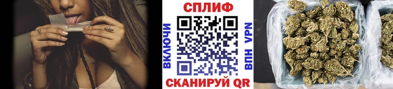 Конопля OG Kush  Купить закладки  Сатка 